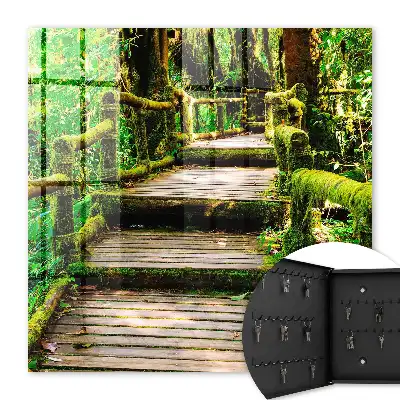 Waldbrücke im grünen Wald