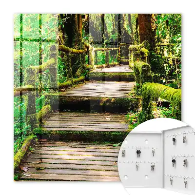 Waldbrücke im grünen Wald