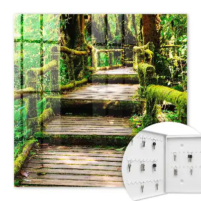 Waldbrücke im grünen Wald