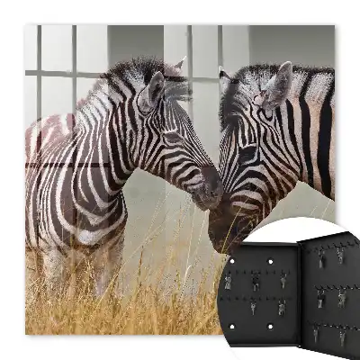 Zebras zusammen auf beigem Hintergrund