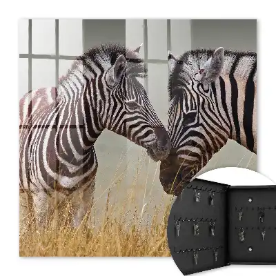 Zebras zusammen auf beigem Hintergrund