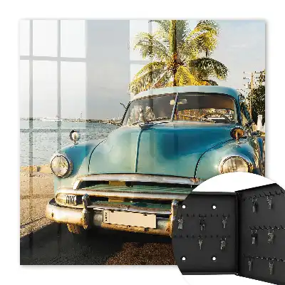 Retro-Auto, Meerespalme