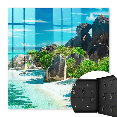 Ein tropischer Strand mit üppigem Grün