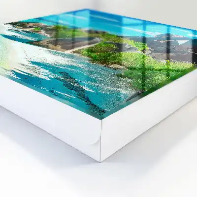 Ein tropischer Strand mit üppigem Grün