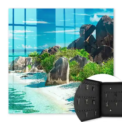 Ein tropischer Strand mit üppigem Grün