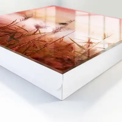 Gräser im Morgengrauen in Pastelltönen
