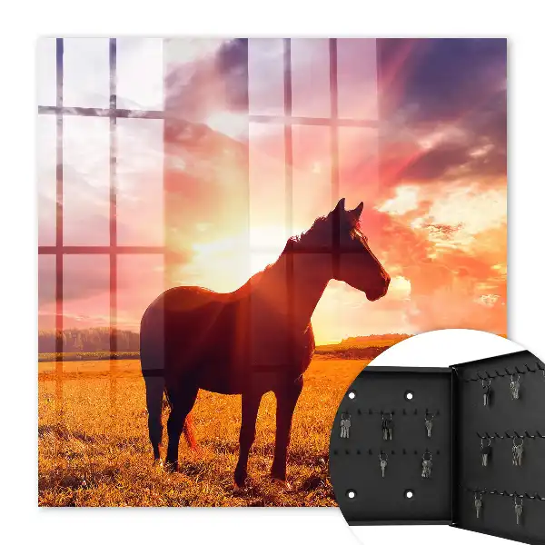 Ein Pferd in der untergehenden Sonne