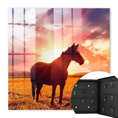 Ein Pferd in der untergehenden Sonne