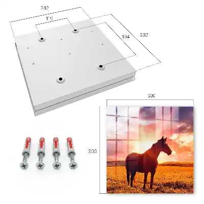 Ein Pferd in der untergehenden Sonne