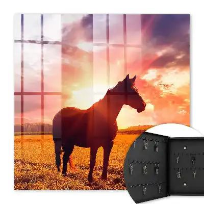Ein Pferd in der untergehenden Sonne