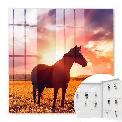 Ein Pferd in der untergehenden Sonne