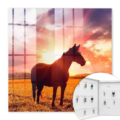 Ein Pferd in der untergehenden Sonne