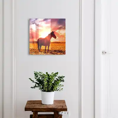 Ein Pferd in der untergehenden Sonne