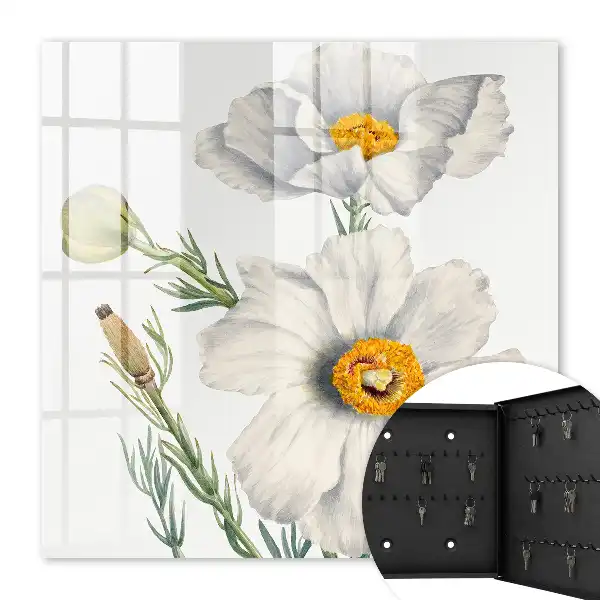 Blumen und Natur mit grünen Zentren