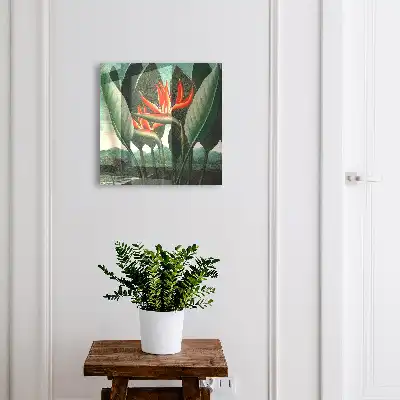 Die Exotik der Natur in leuchtenden Farben