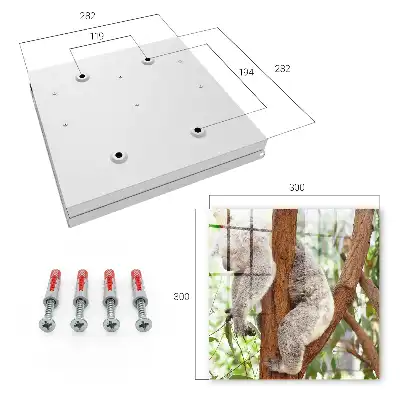 Koala entspannt sich in natürlicher Umgebung