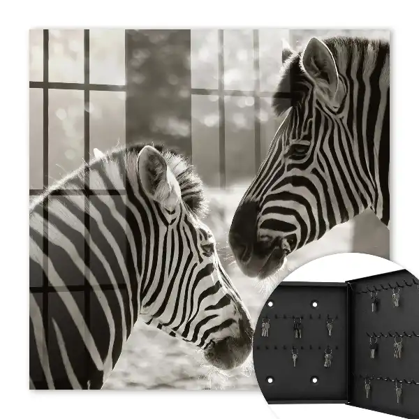 Zebras vereint in schwarz-weißer Harmonie