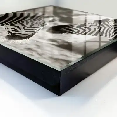 Zebras vereint in schwarz-weißer Harmonie