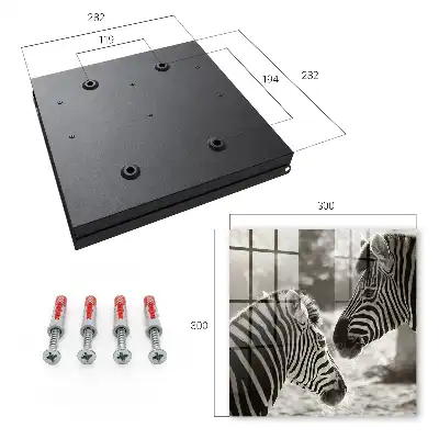 Zebras vereint in schwarz-weißer Harmonie