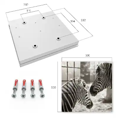 Zebras vereint in schwarz-weißer Harmonie