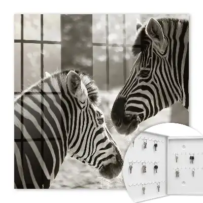 Zebras vereint in schwarz-weißer Harmonie