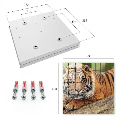 Tiger ruht mit intensivem Blick