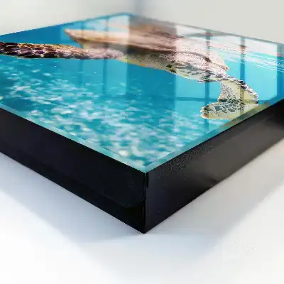 Die Unterwasserwelt des blauen Wassers
