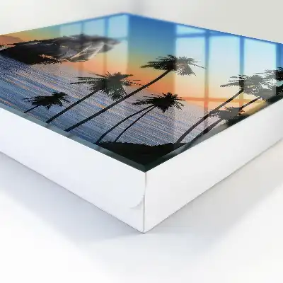 Meer, Segelschiff, Sonne, Palme
