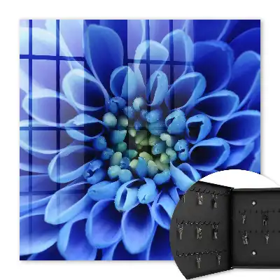 Eine blaue Blume spiralförmig