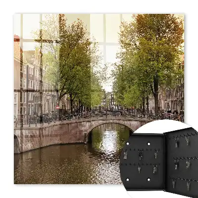 Der Stadtkanal ist grün und von Bäumen gesäumt.