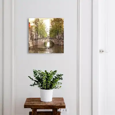 Der Stadtkanal ist grün und von Bäumen gesäumt.
