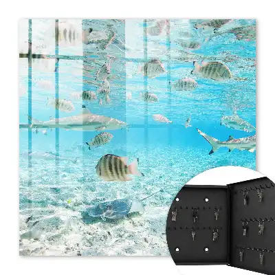 Wasserleben der Harmonie