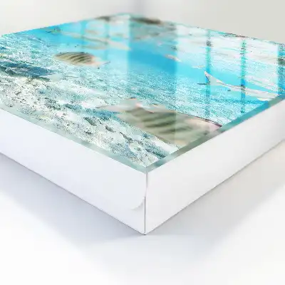 Wasserleben der Harmonie