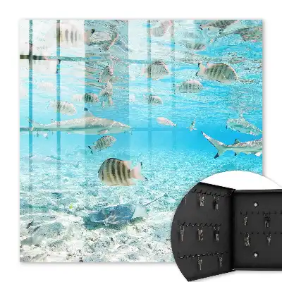 Wasserleben der Harmonie