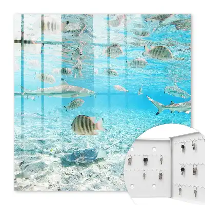 Wasserleben der Harmonie