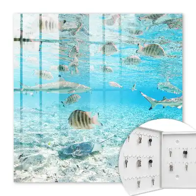 Wasserleben der Harmonie