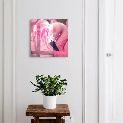 Rosa Schönheit im sanften Licht