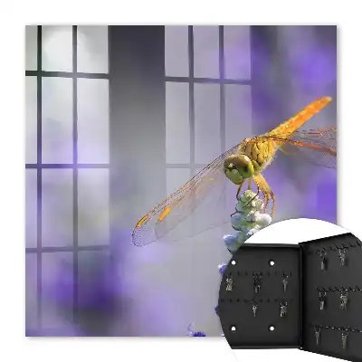 Libelle auf einer lila Blüte