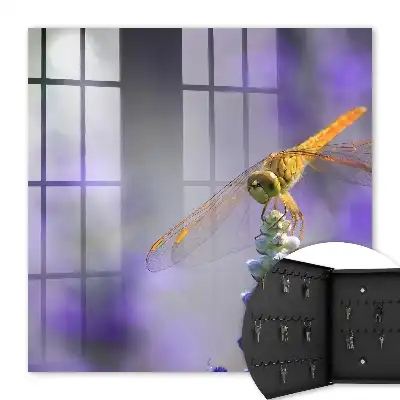 Libelle auf einer lila Blüte