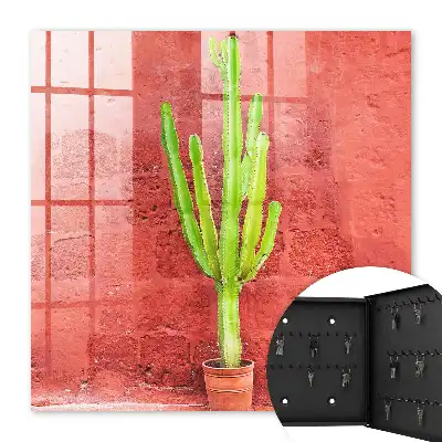 Grüner Kaktus an roter Wand