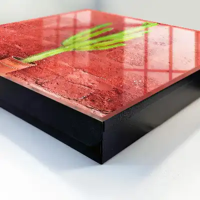 Grüner Kaktus an roter Wand