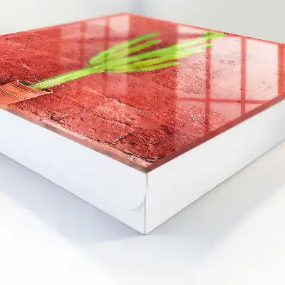 Grüner Kaktus an roter Wand