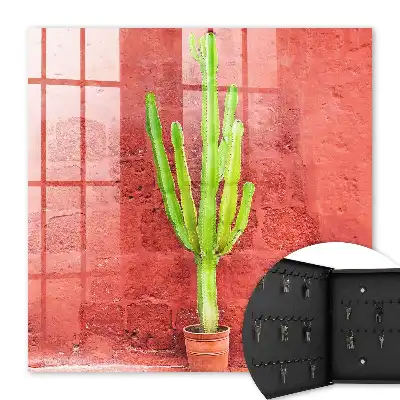 Grüner Kaktus an roter Wand