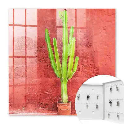 Grüner Kaktus an roter Wand