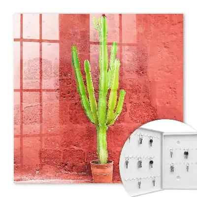 Grüner Kaktus an roter Wand