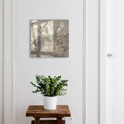 Vögel auf einem malerischen Felsen