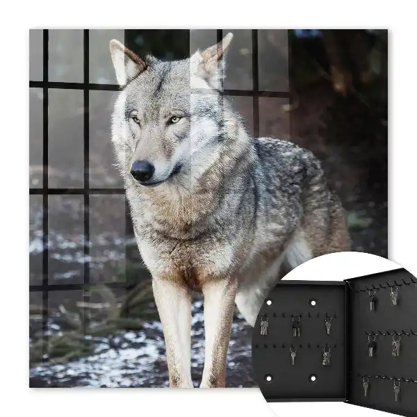 Ein Wolf in einem Wald voller Gegensätze