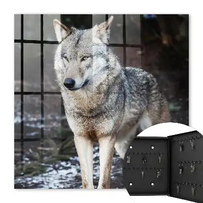 Ein Wolf in einem Wald voller Gegensätze