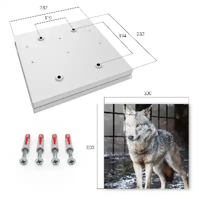 Ein Wolf in einem Wald voller Gegensätze