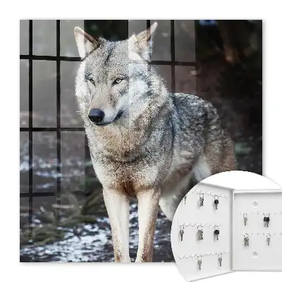 Ein Wolf in einem Wald voller Gegensätze